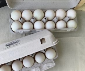 Farmers market eggs