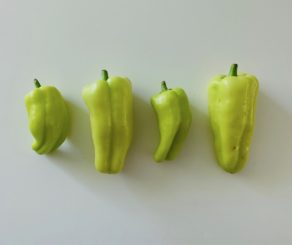 locally grown peppers