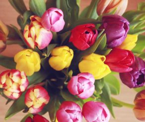 Tulip Bouquet