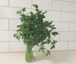 Fresh parsley