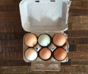 Half Dozen Farmers Market Eggs