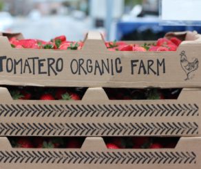 Tomatero Organic Farm Tomatoes