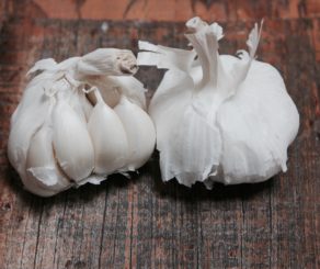 Garlic Bulbs