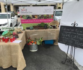 Pollination Farm Farmers Market Booth