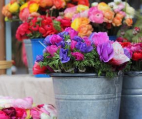 Buckets of Flowers at Farmers Market