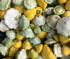 farmers market summer squash