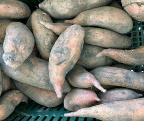 farmers market sweet potatoes