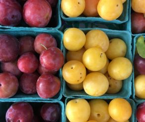 farmers market plums