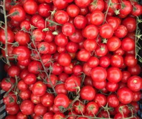 farmers market tomatoes