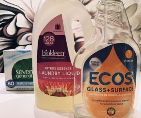 Earth and people friendly cleaning products