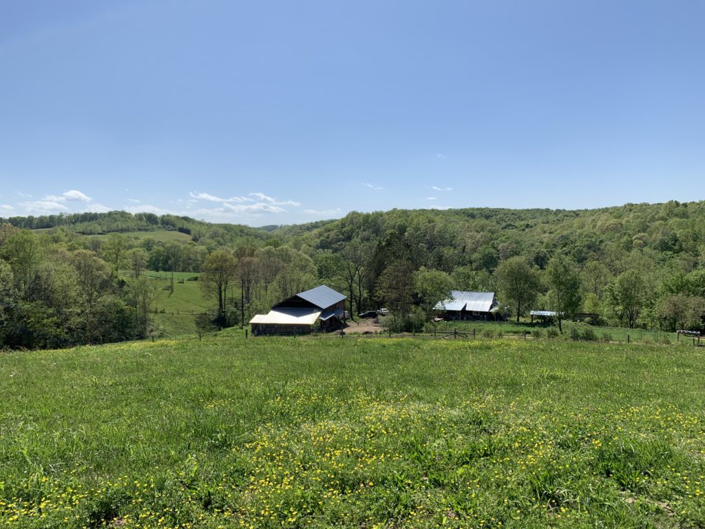 View from a hilltop of Long Hungry Creek Farm.