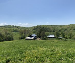 Long Hungry Creek Farm