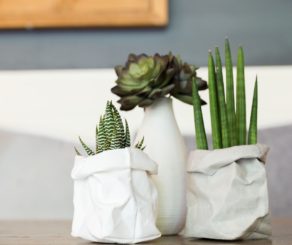 perennity-designs-washable-paper planter