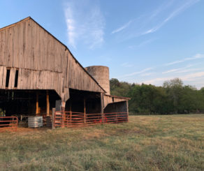 Wooping Crane Barn