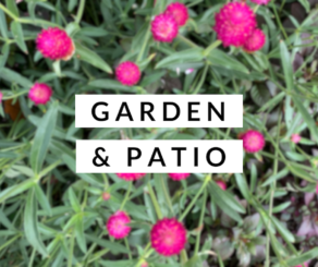 garden and patio category photo