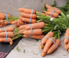 carrots