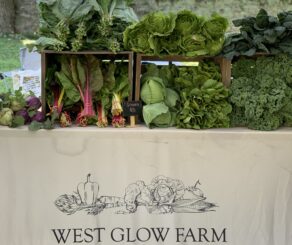 Farm Stand