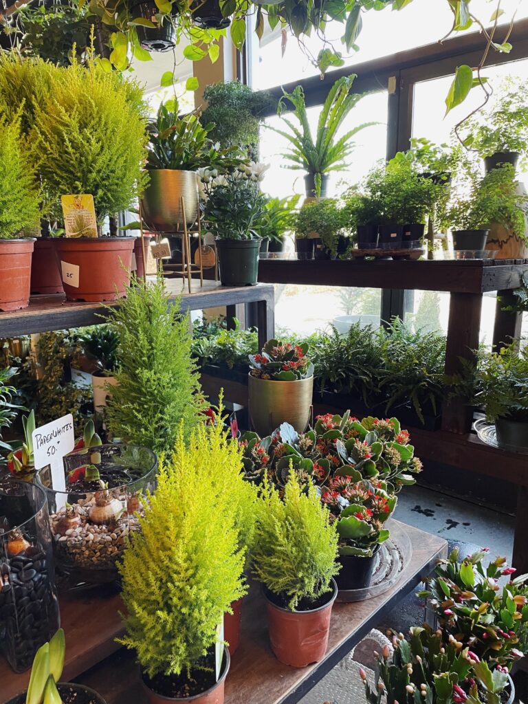 Plant Shop